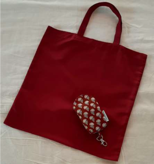 Urvi Reusable Shopping Bag